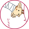 ̃ACR04