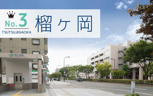 No.3 榴ヶ岡