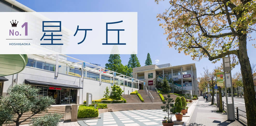 No.1 星ヶ丘