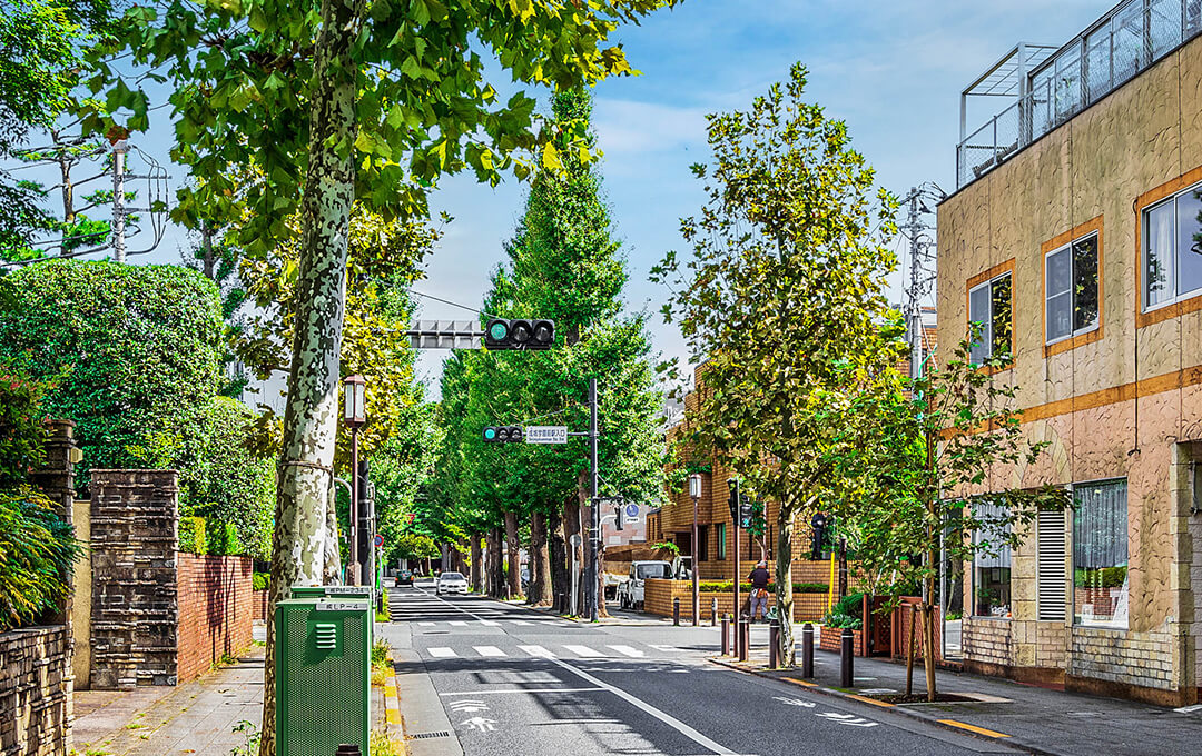 ���c�J��