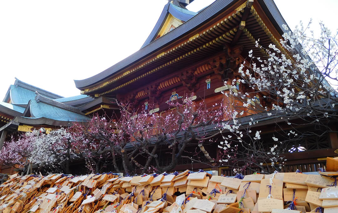 文京区