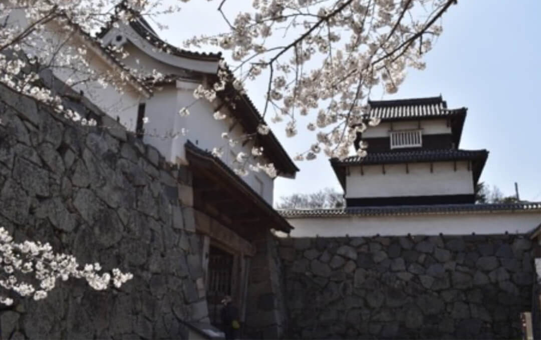 �����s������