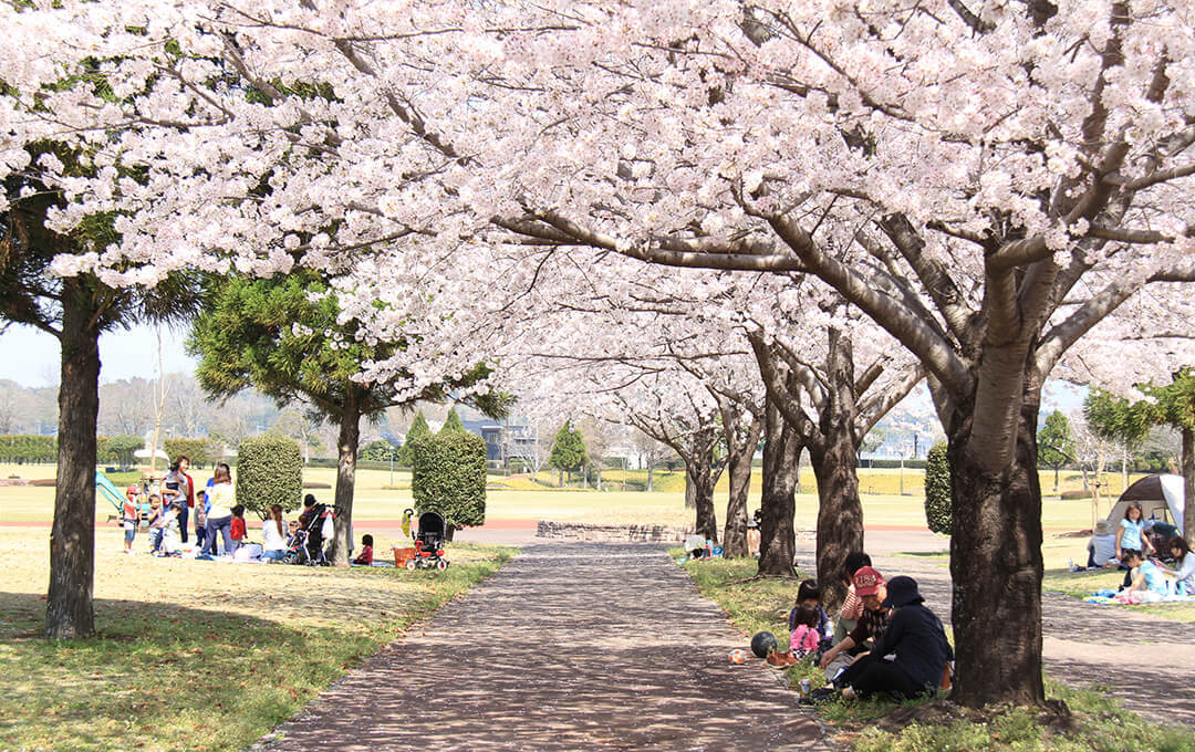 菊池郡菊陽町