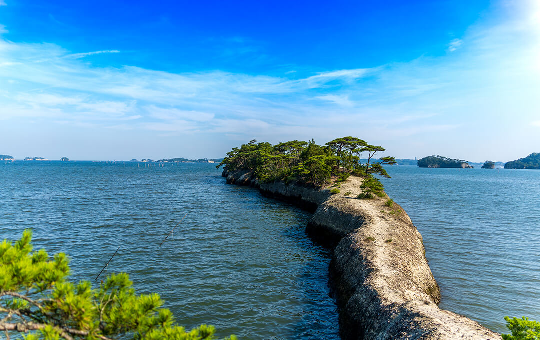 �{��S���{��