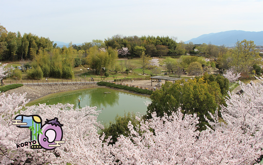 北葛城郡広陵町