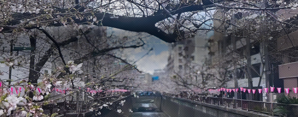 �哌�����̃j���[�X���f�B�A�̂��Љ�