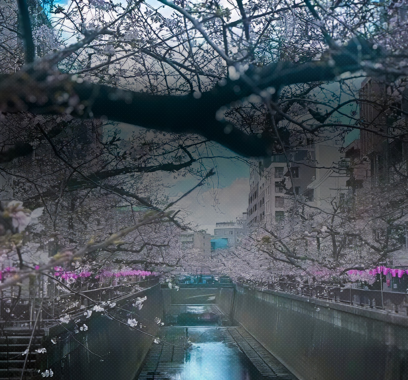 �哌�����̃j���[�X���f�B�A�̂��Љ�