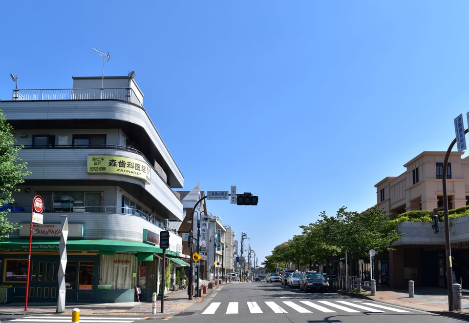 商業施設や住宅などが混在する第一種住居地域の街並み