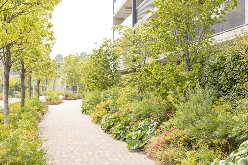 管理費から賄われてるマンション敷地内の植栽の維持費用