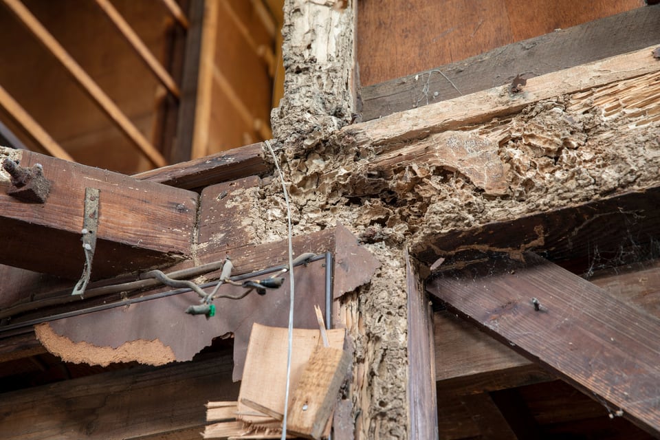 蟻害によってボロボロに損傷した古い住宅の柱