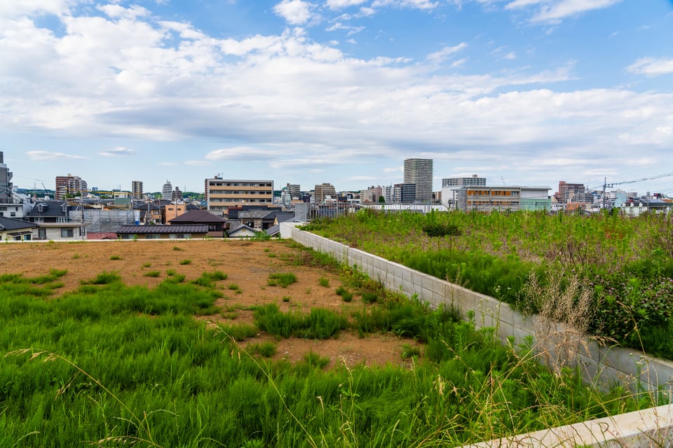 高台に造成された草が生い茂る借地