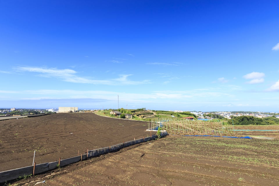 見晴らしの良い高台の畑は今後整備予定の土地改良法対象地区