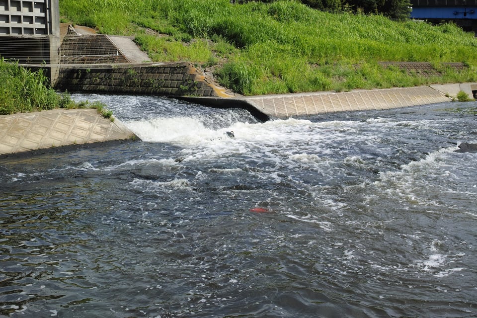 水質汚濁防止法に守られた都心部の河川