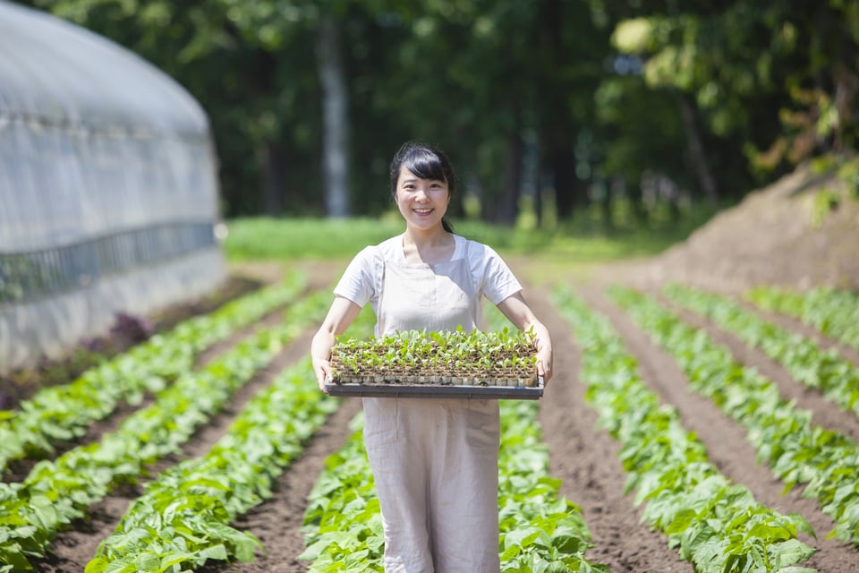用益物権の土地で農作業を行う女性