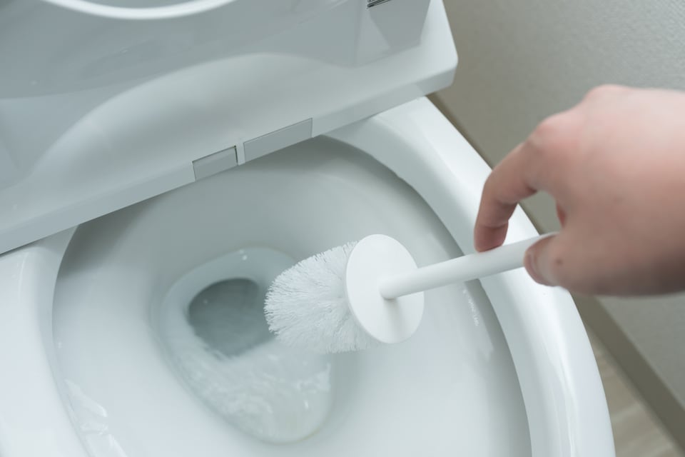 サイホン式便器を掃除する女性