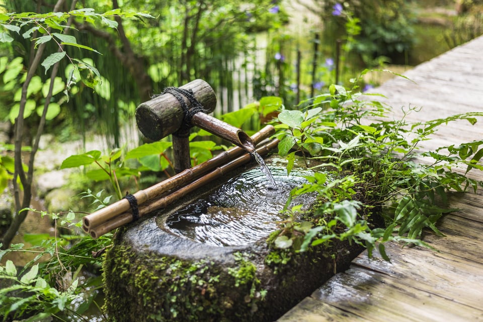 清らかな水で満たされた京都宝泉院のつくばい