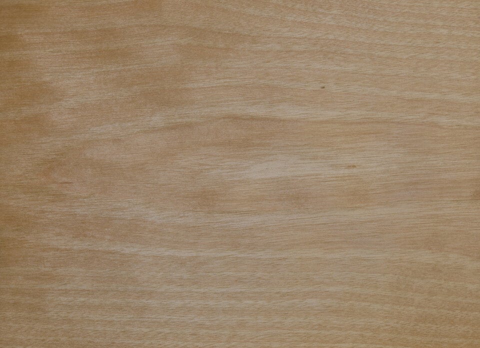肌触りがよく光沢のある緻密な木肌のバーチ材