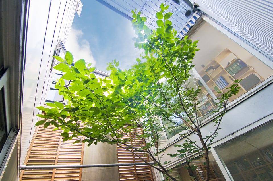 日差しが入って明るく開放感を演出できる中庭