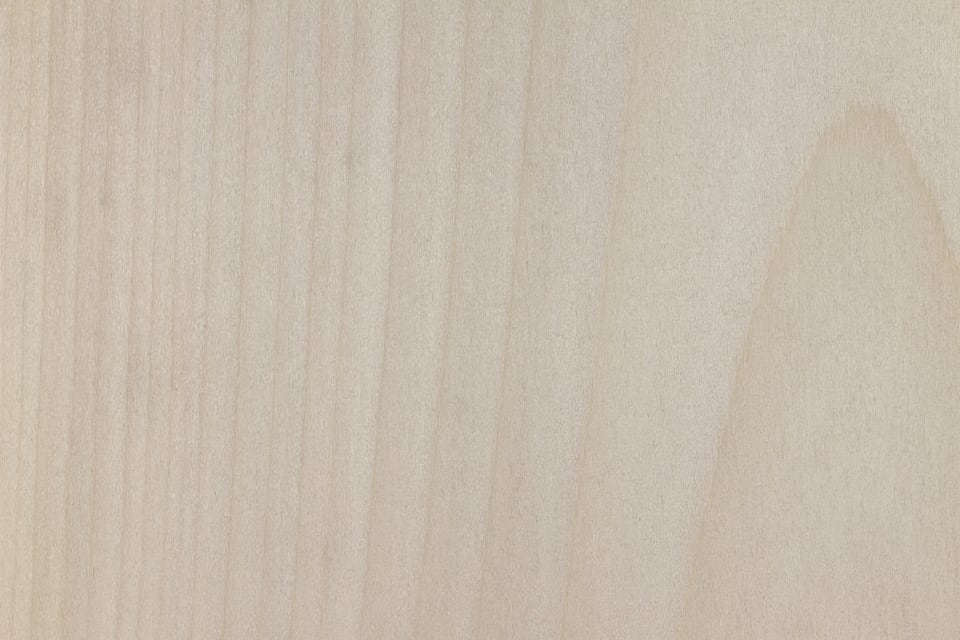 近くから見た散孔材のホオ材の木目