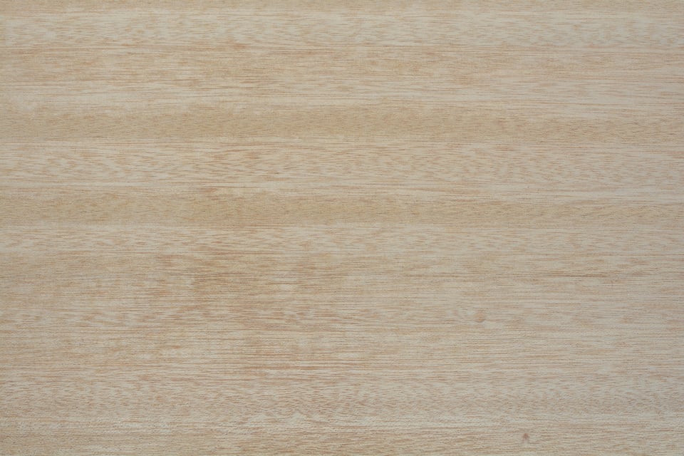ホワイトラワンを正面から見た状態