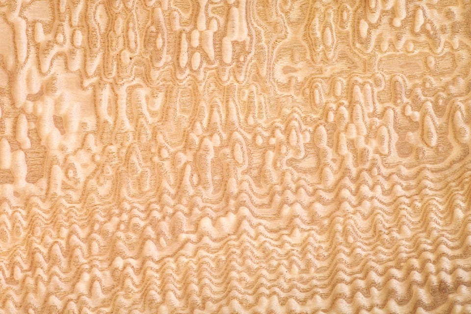 泡状に見える木目が浮き出た銘木の板材