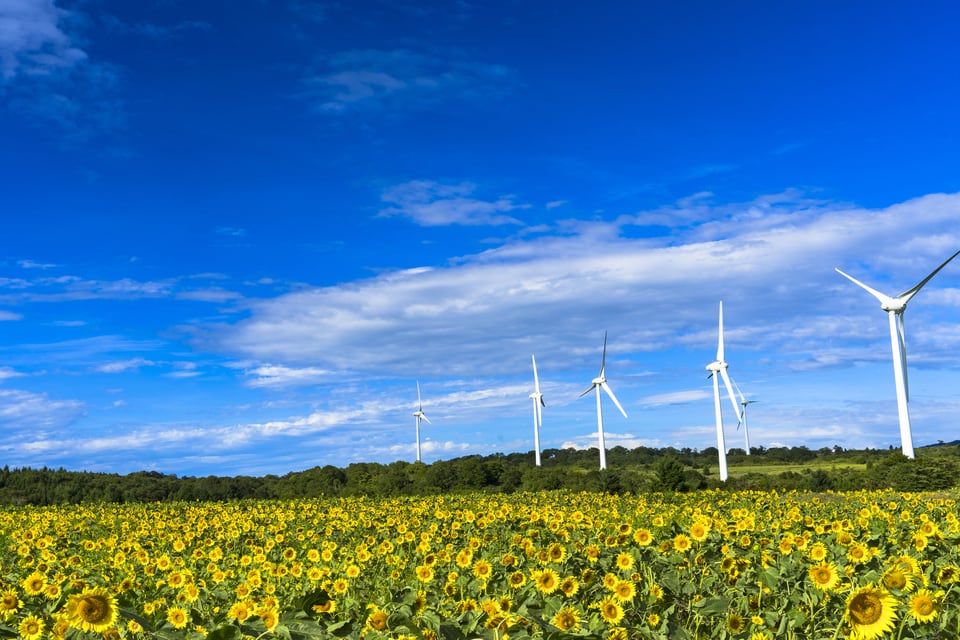 福島県郡山市の布引高原の風力発電施設