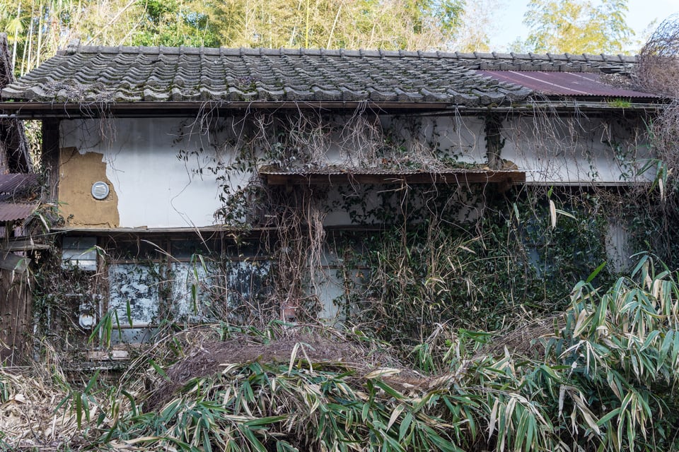 植物に覆われた白壁の空き家