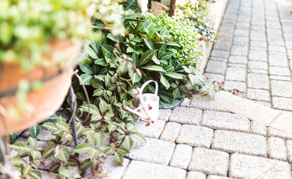植栽が施されたドライエリア