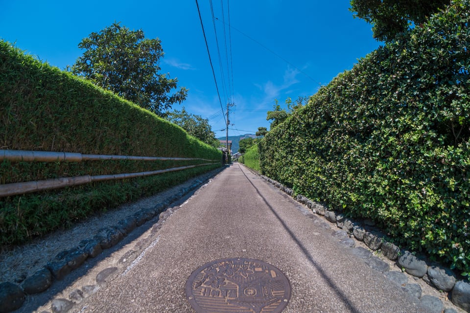 生け垣のある風景、長く続く道と青空