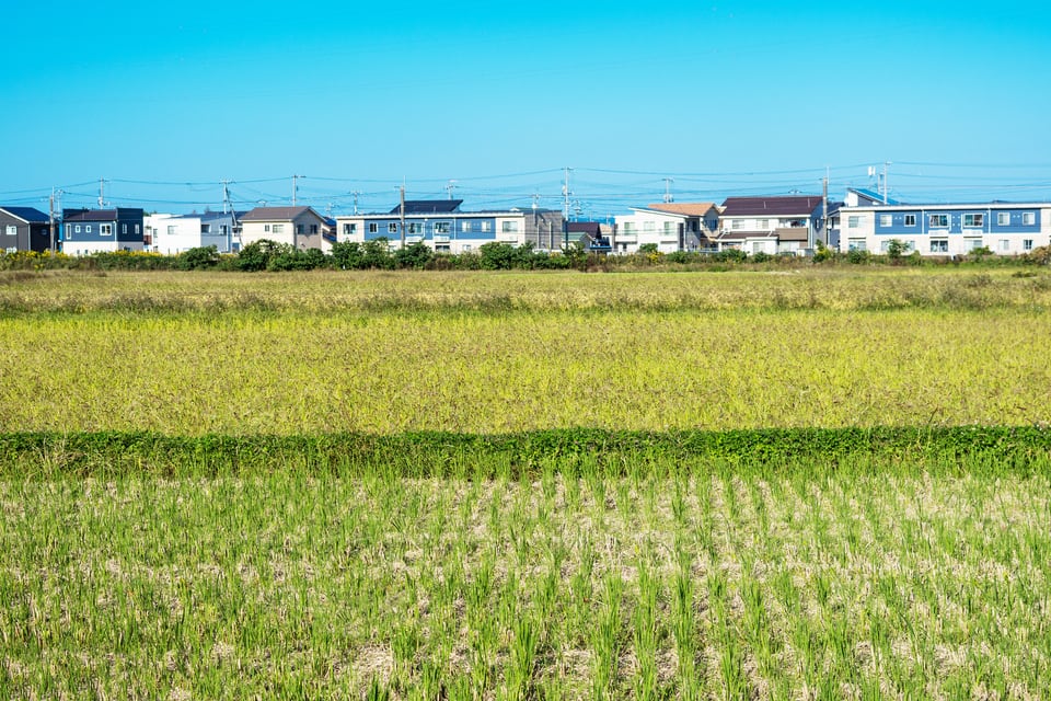 農地の先に見える戸建てが建ち並ぶ住居地域