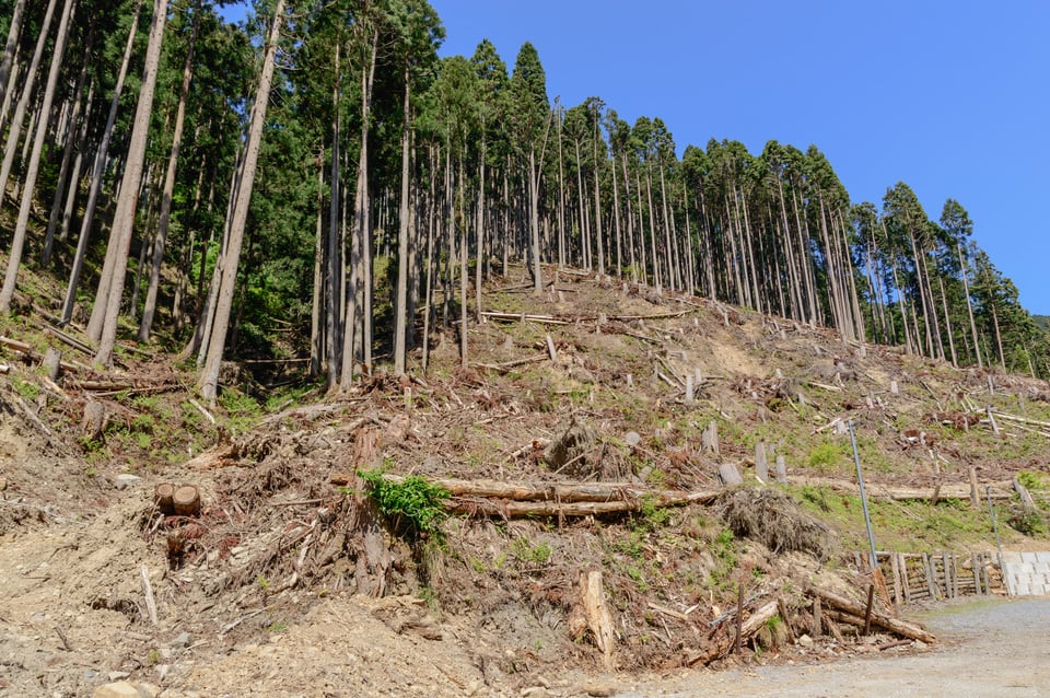 急傾斜地崩壊危険区域で発生した崖崩れ