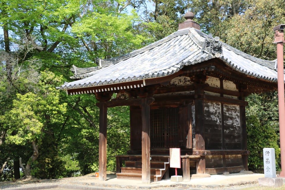 方形屋根を採用している東大寺新緑の行基堂