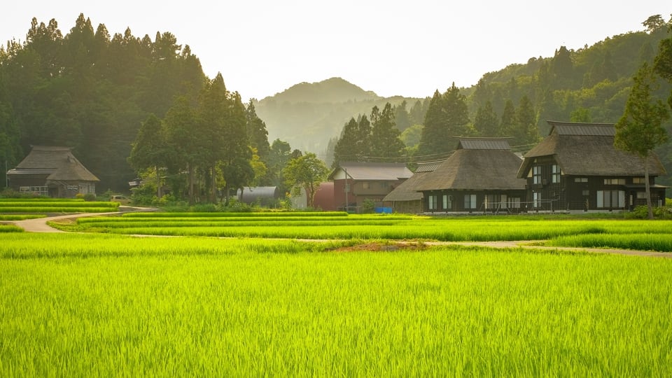 景観計画区域として指定された農村部地域