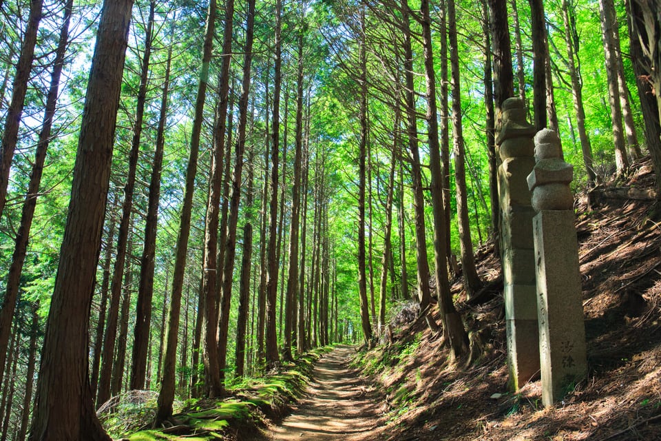 景観良好な準景観地区にある遊歩道