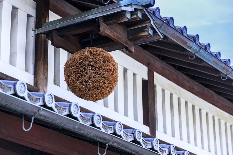 酒蔵の軒瓦と軒先にある杉玉