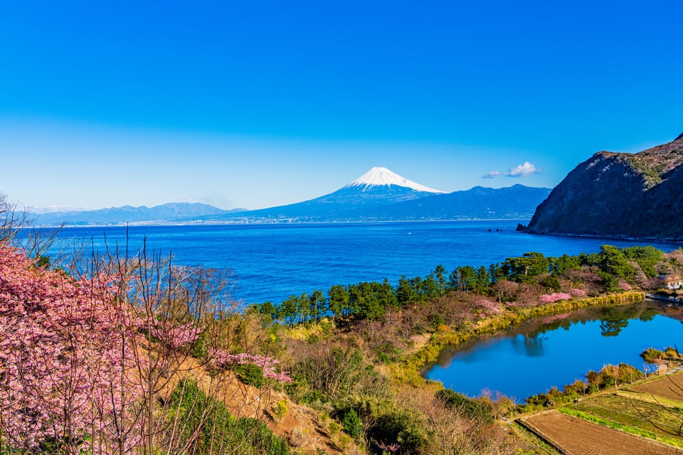 近郊緑地保全区域に指定されている、富士山が見える自然公園