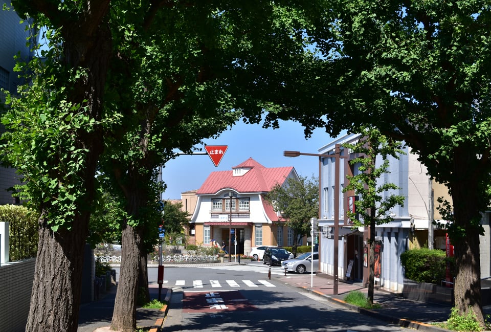 風致地区が維持されている田園調布旧駅舎と銀杏並木