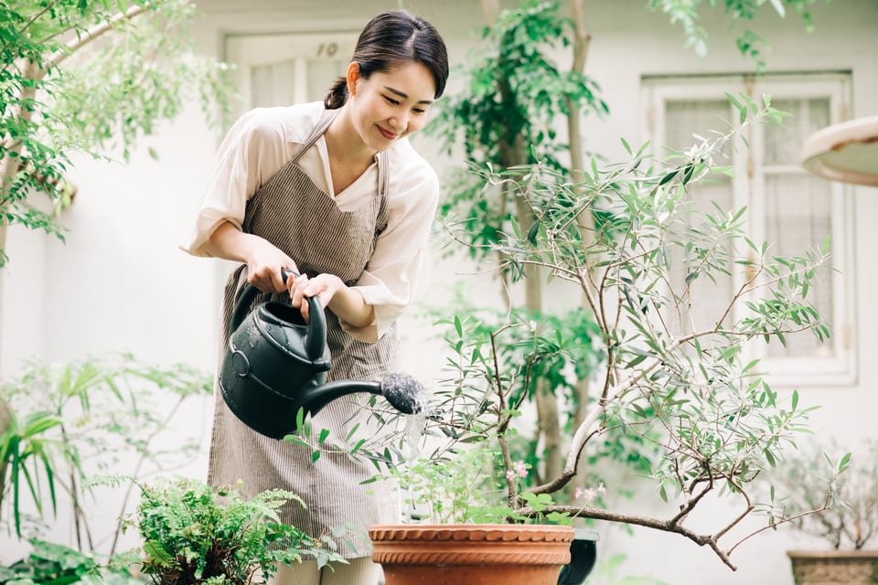 プランターの植物に水やりをするガーデニング中の女性