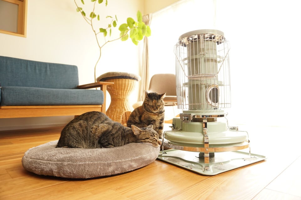 インテリアのひとつとして楽しめるストーブで暖まる猫
