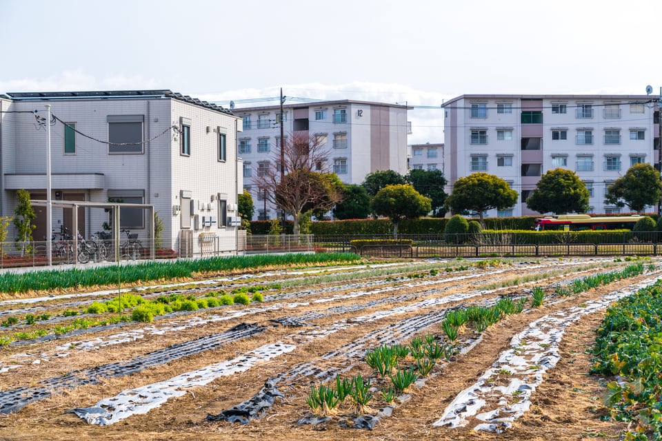 住宅地に隣接して農作物が植えられた市街化区域内農地