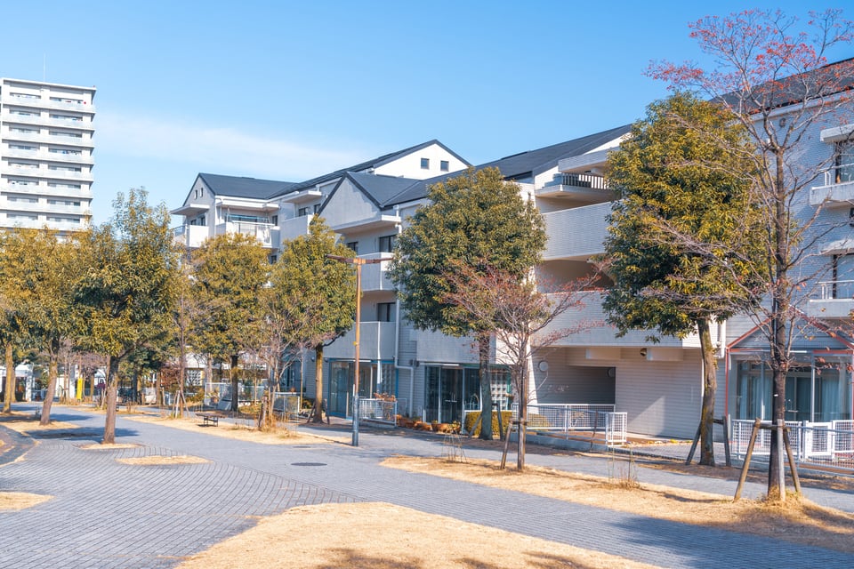 住環境が整備された街路樹が植えられた郊外の街並み