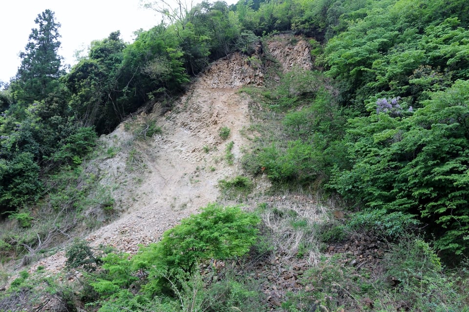 地すべりが発生した山の斜面