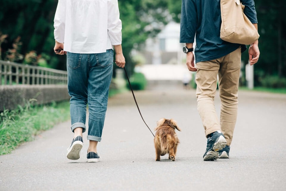 子どもを持たない選択をしたDINKS夫婦の休日の犬を連れた散歩風景