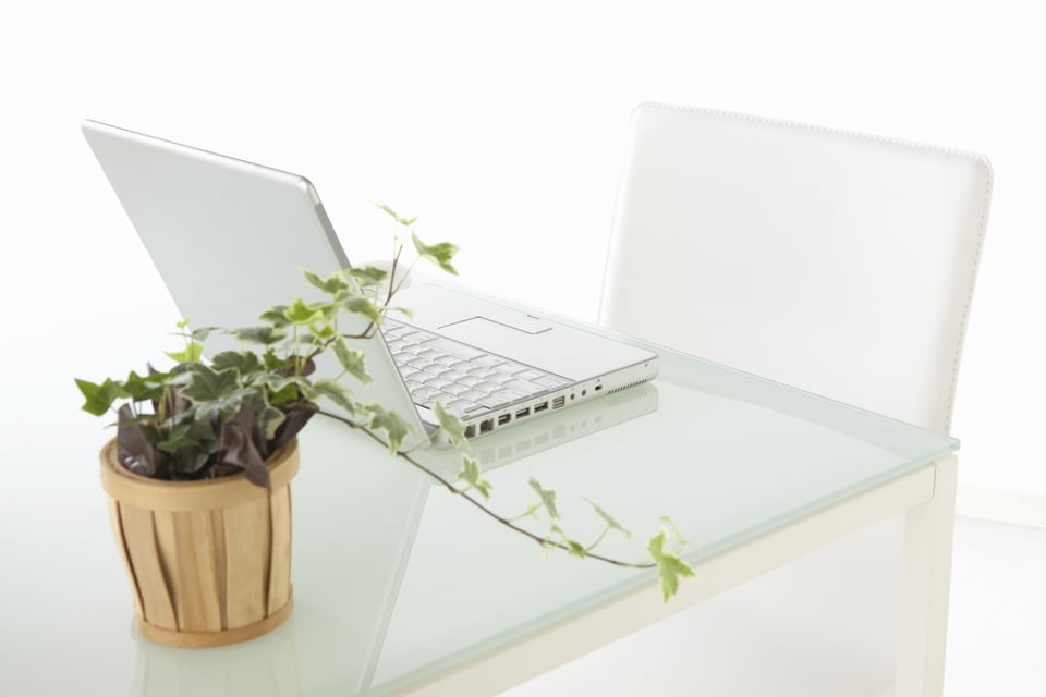 フロストガラスを天板に使ったテーブルと観葉植物