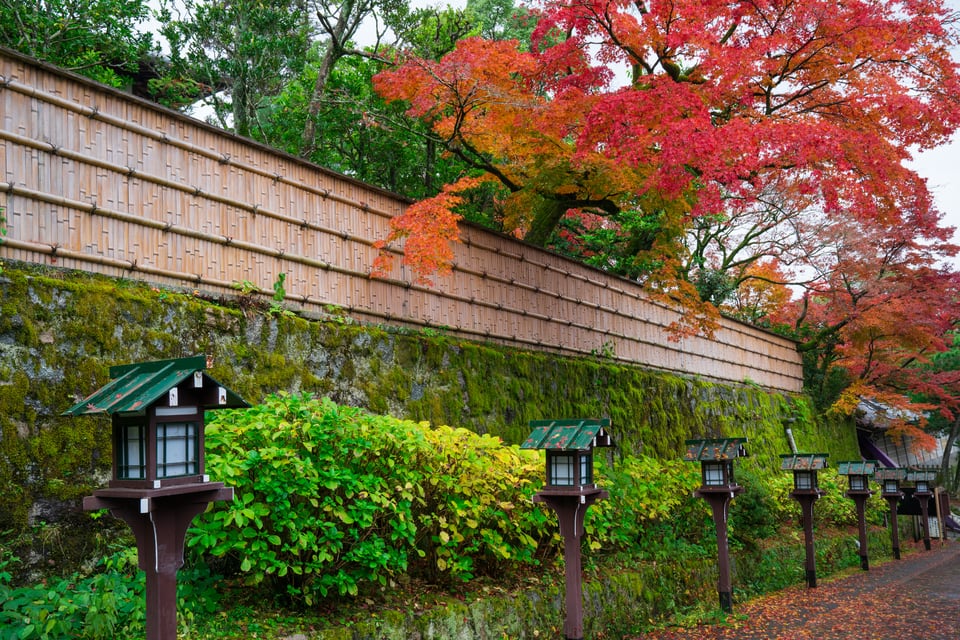 秋の京都で見られる景観とマッチした竹の垣根