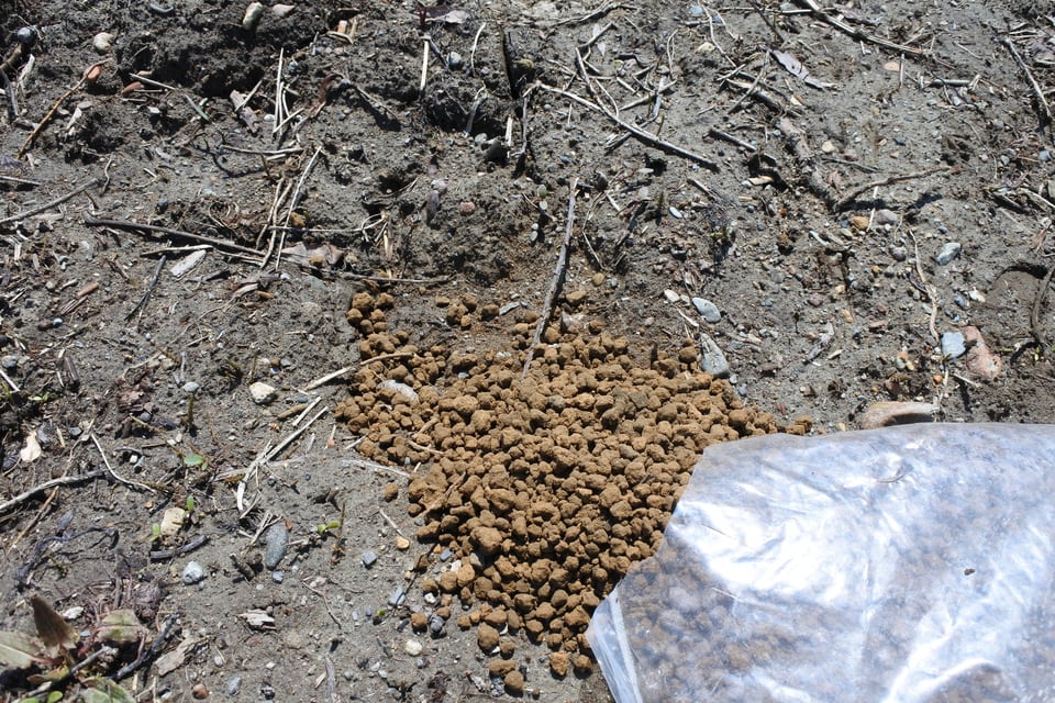 赤玉土は褐色で無機質な土であり古くから用いられている