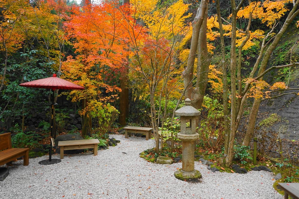 国の指定重要文化財「一条恵観山荘」の茶庭