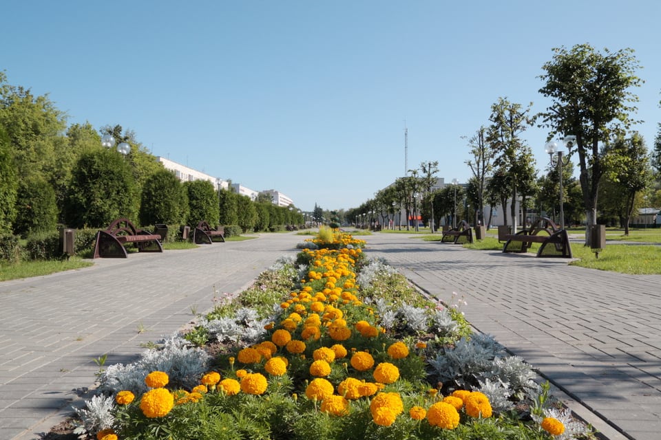 都市緑地法に基づき整備された花壇と道路