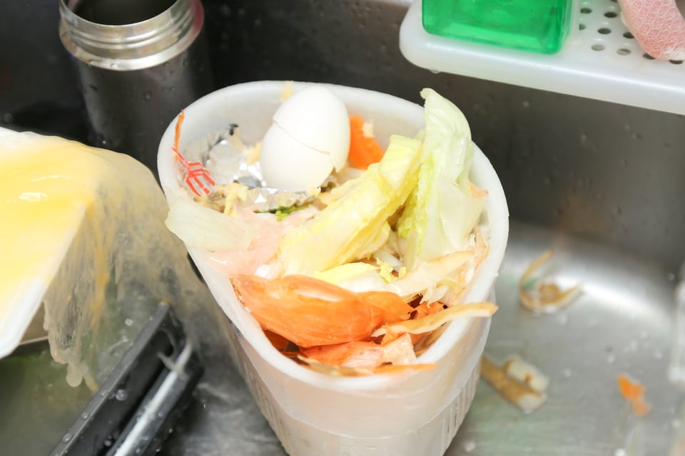 台所のごみはノミバエの餌になる