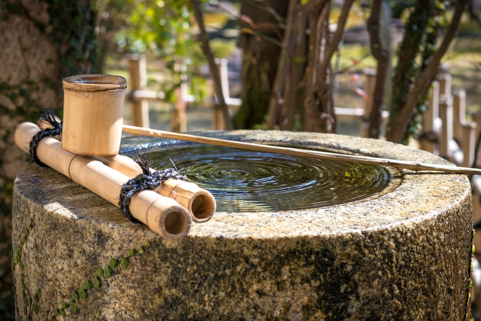 円星宿形手水鉢の特徴である円形の水穴
